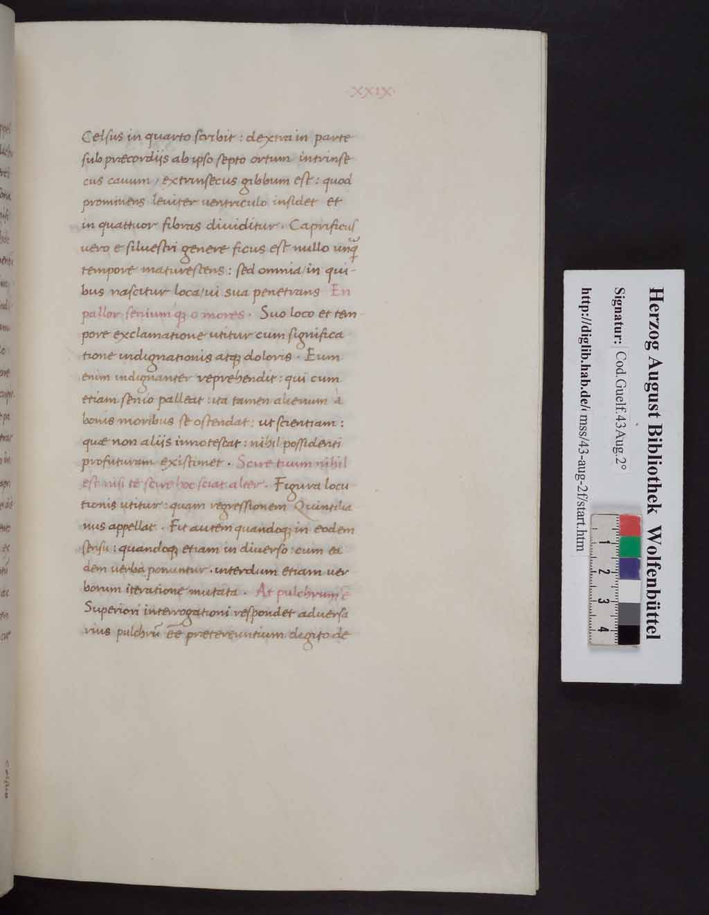 http://diglib.hab.de/mss/43-aug-2f/00065.jpg