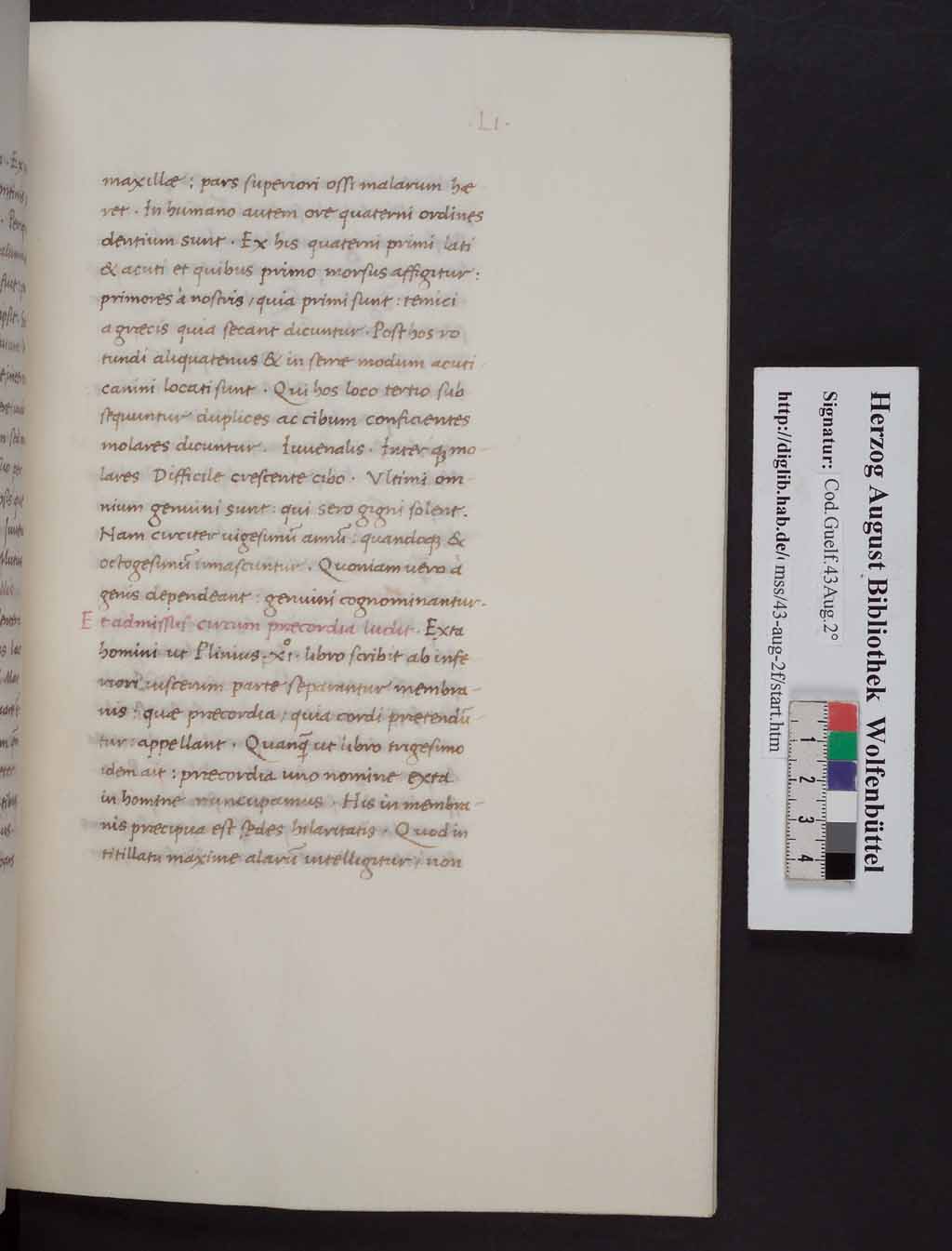 http://diglib.hab.de/mss/43-aug-2f/00109.jpg