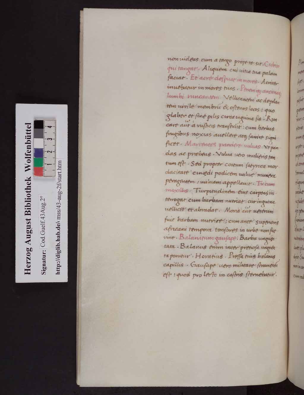 http://diglib.hab.de/mss/43-aug-2f/00174.jpg