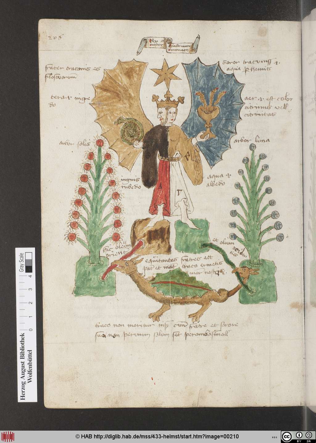 http://diglib.hab.de/mss/433-helmst/00210.jpg