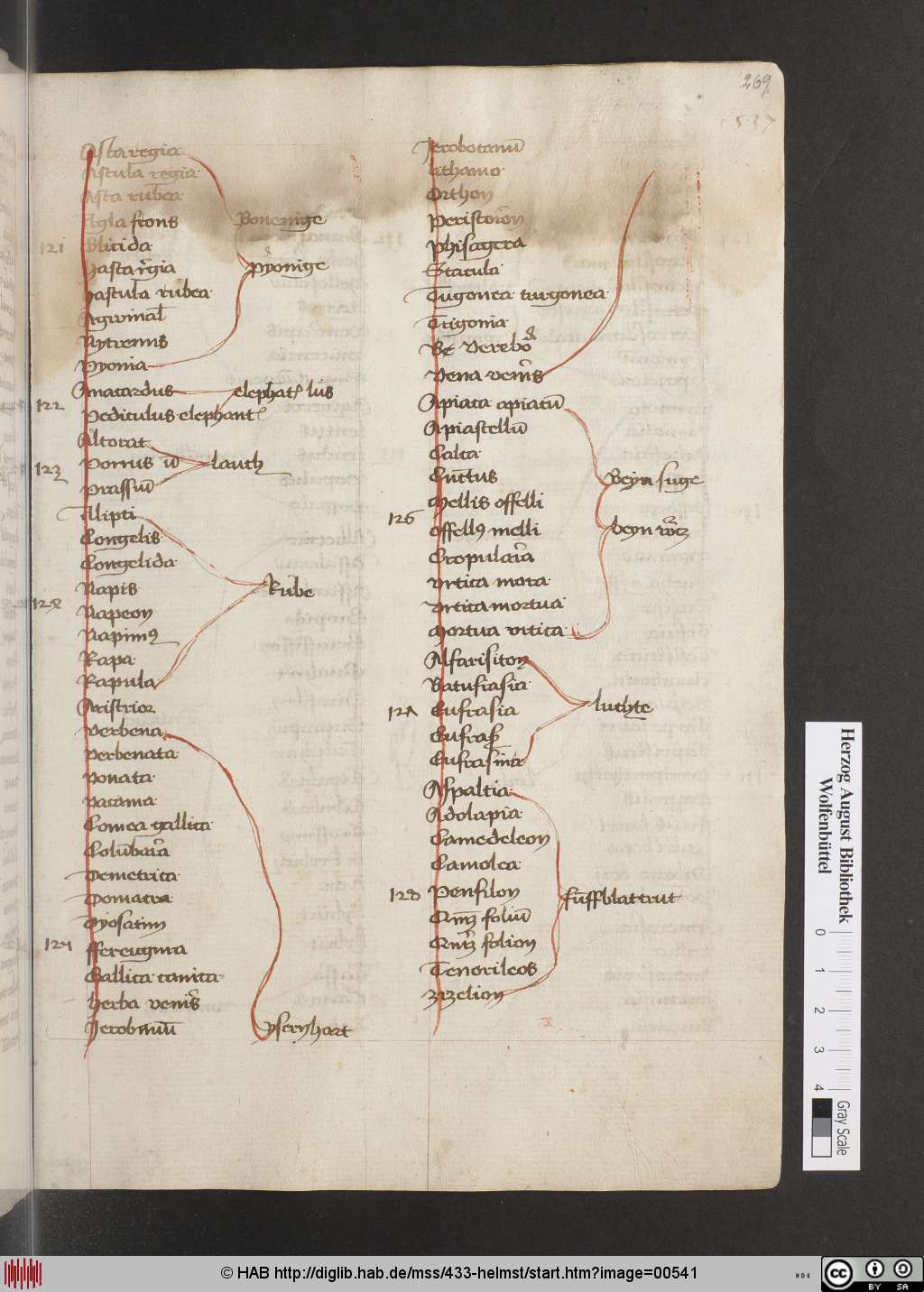 http://diglib.hab.de/mss/433-helmst/00541.jpg