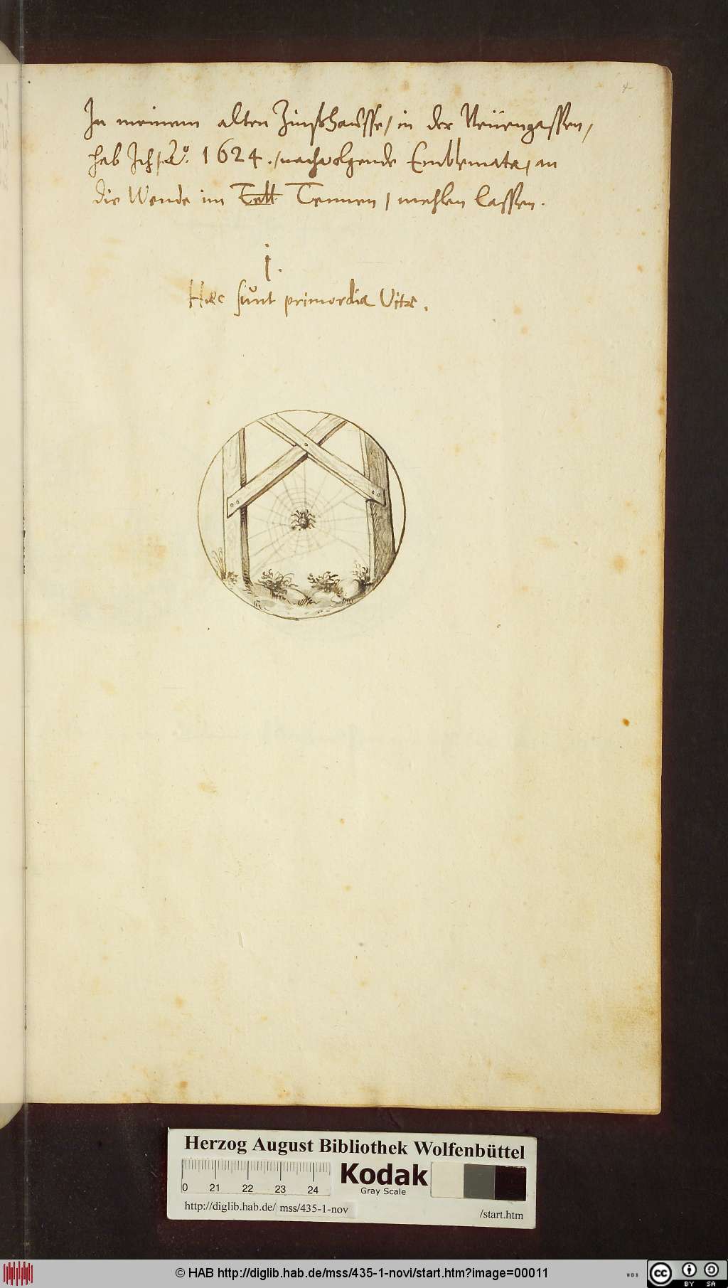 http://diglib.hab.de/mss/435-1-novi/00011.jpg