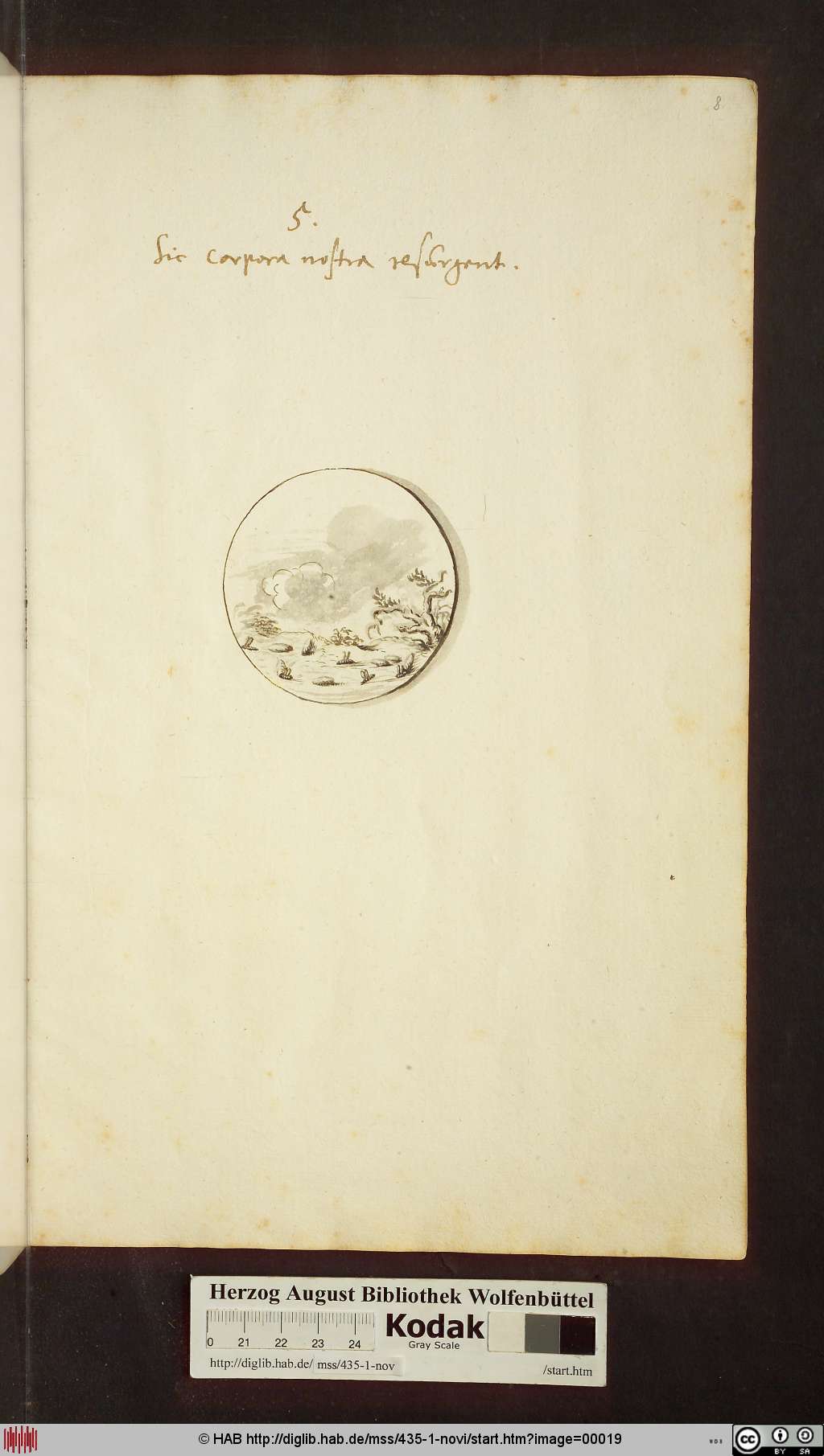 http://diglib.hab.de/mss/435-1-novi/00019.jpg