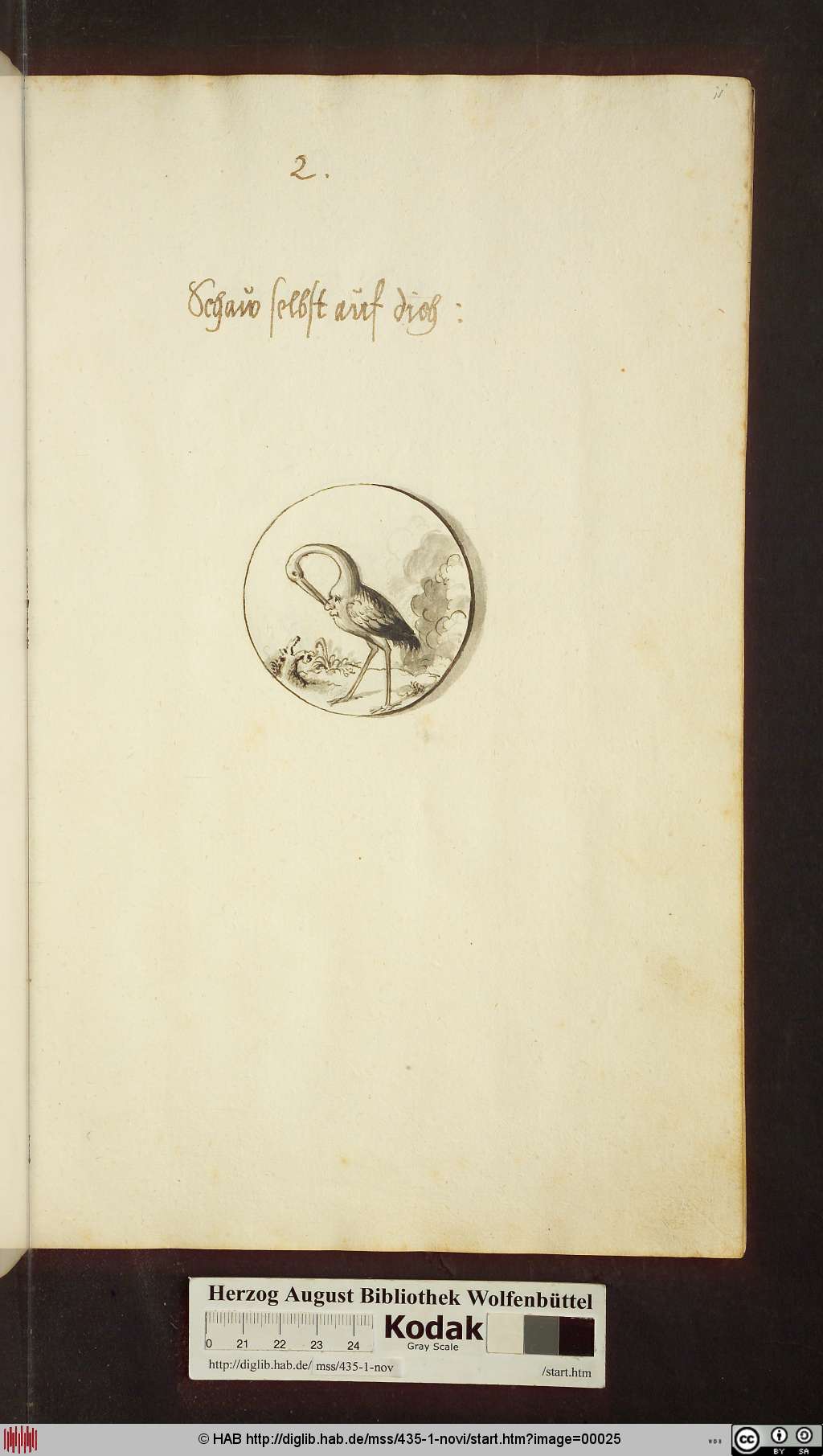 http://diglib.hab.de/mss/435-1-novi/00025.jpg