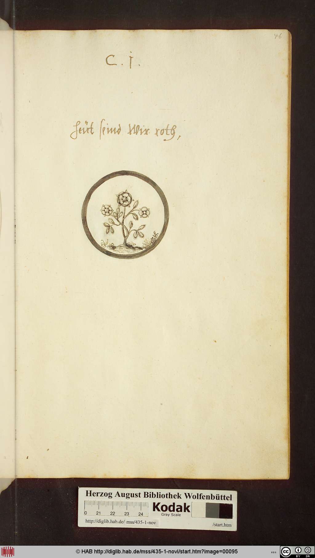 http://diglib.hab.de/mss/435-1-novi/00095.jpg