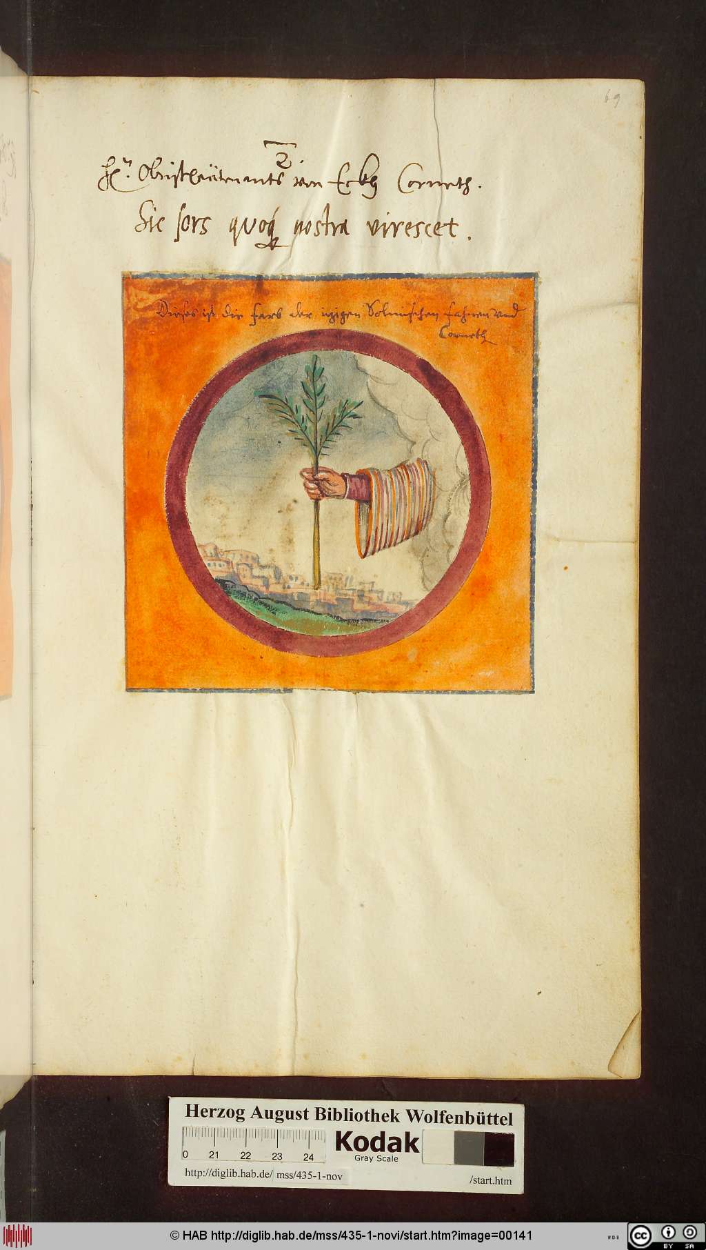http://diglib.hab.de/mss/435-1-novi/00141.jpg