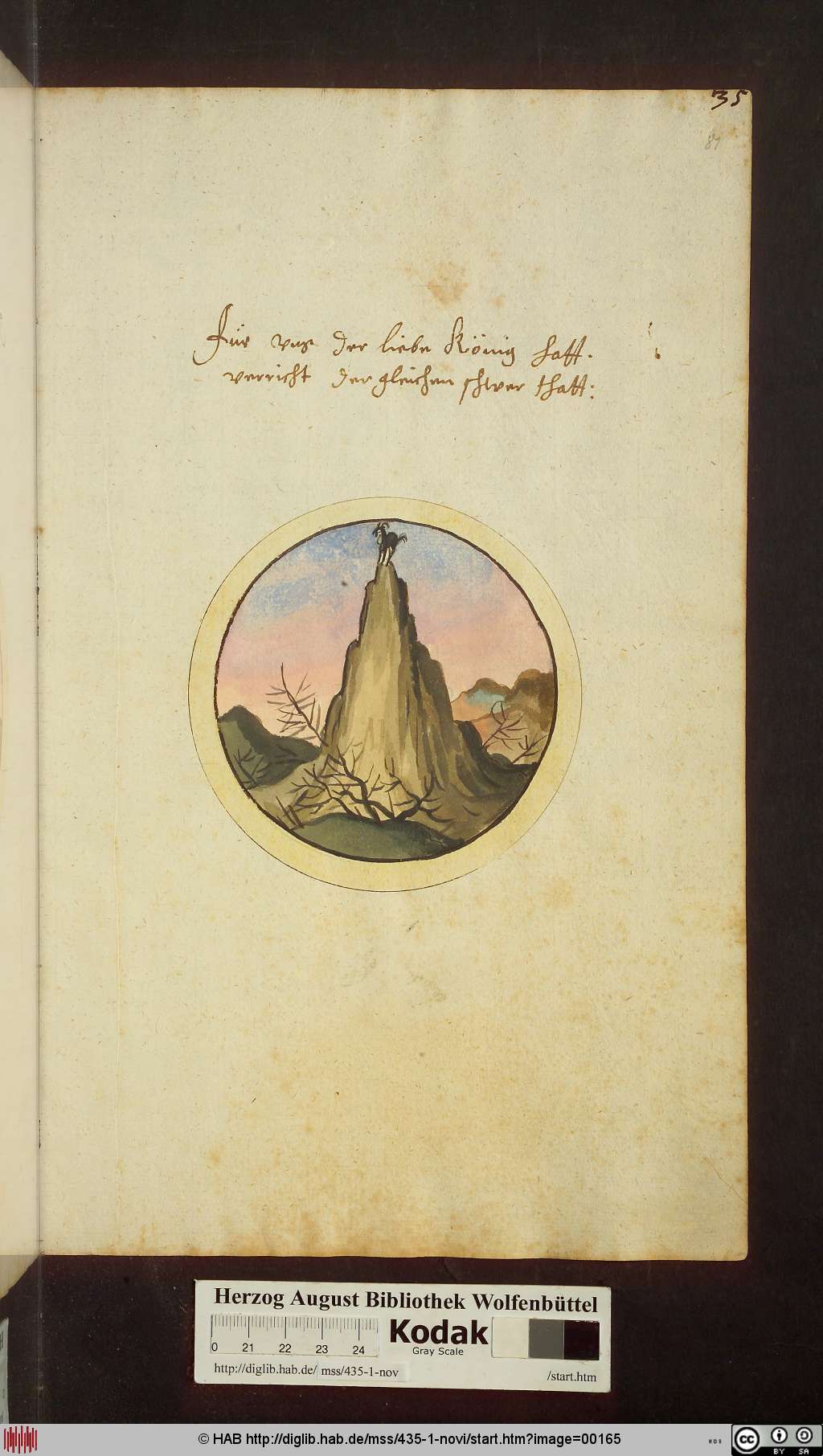 http://diglib.hab.de/mss/435-1-novi/00165.jpg