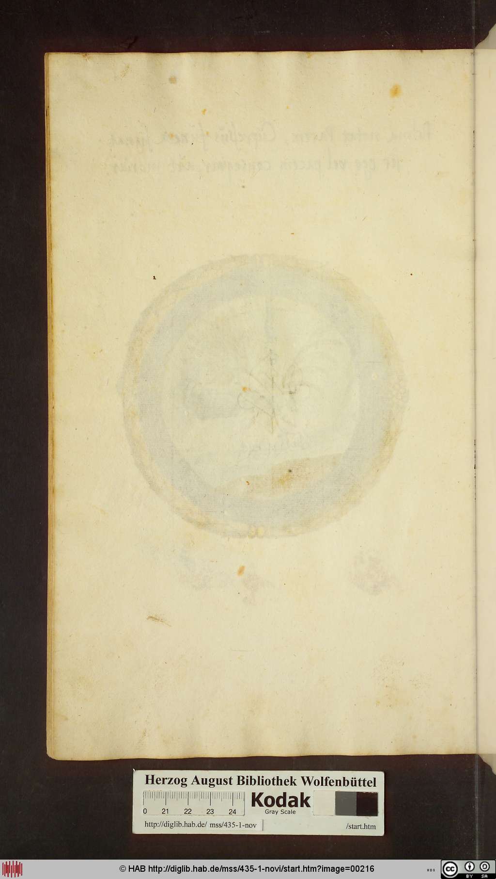 http://diglib.hab.de/mss/435-1-novi/00216.jpg