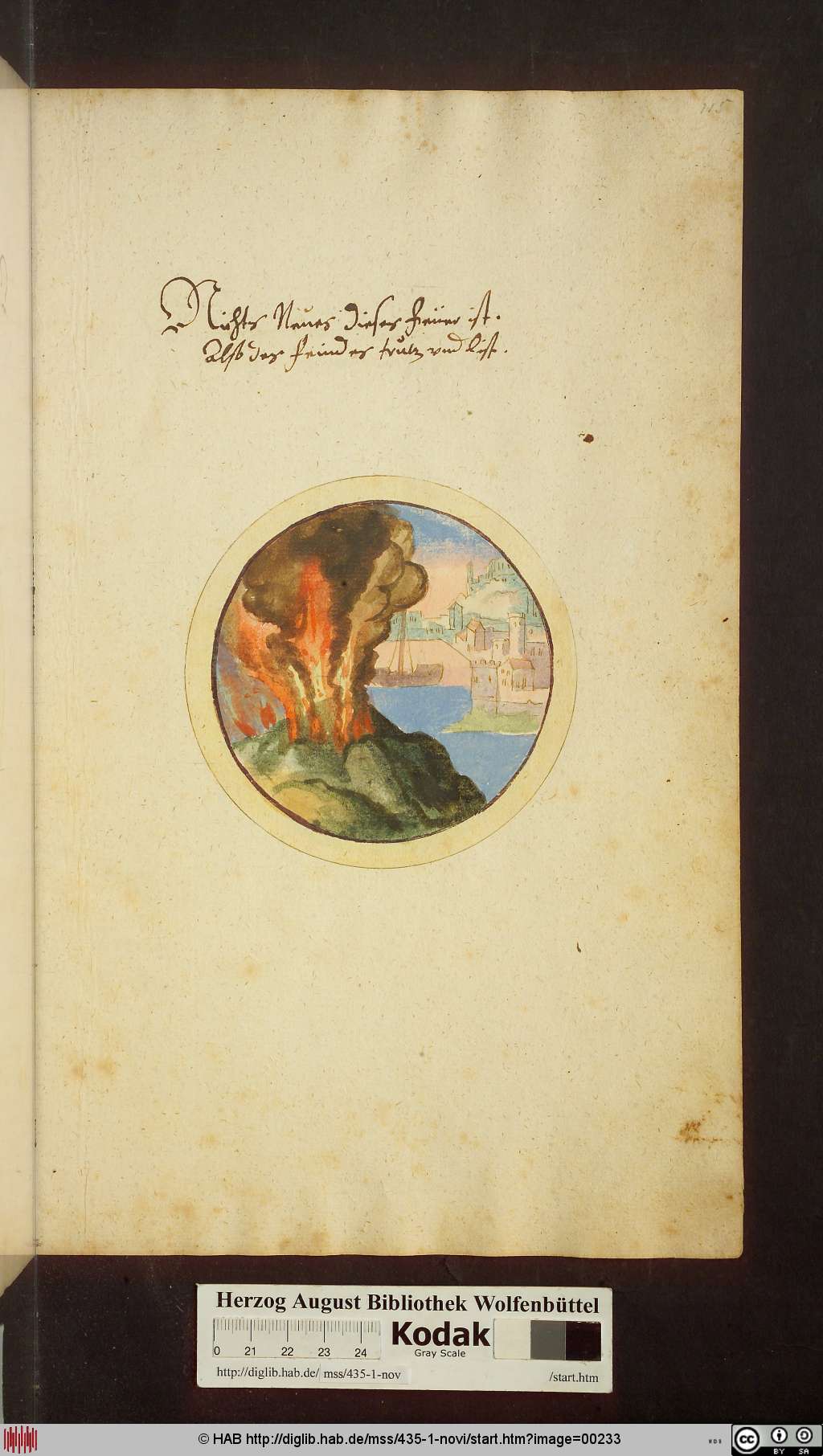 http://diglib.hab.de/mss/435-1-novi/00233.jpg
