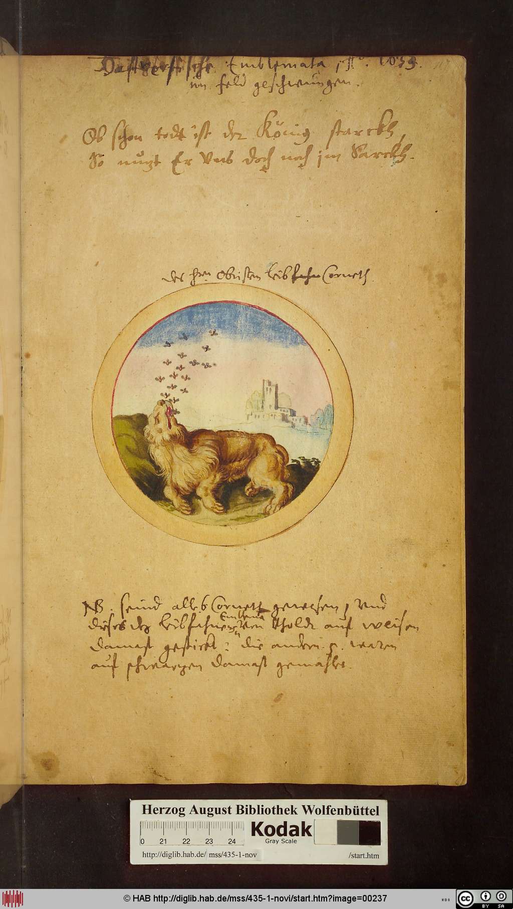 http://diglib.hab.de/mss/435-1-novi/00237.jpg