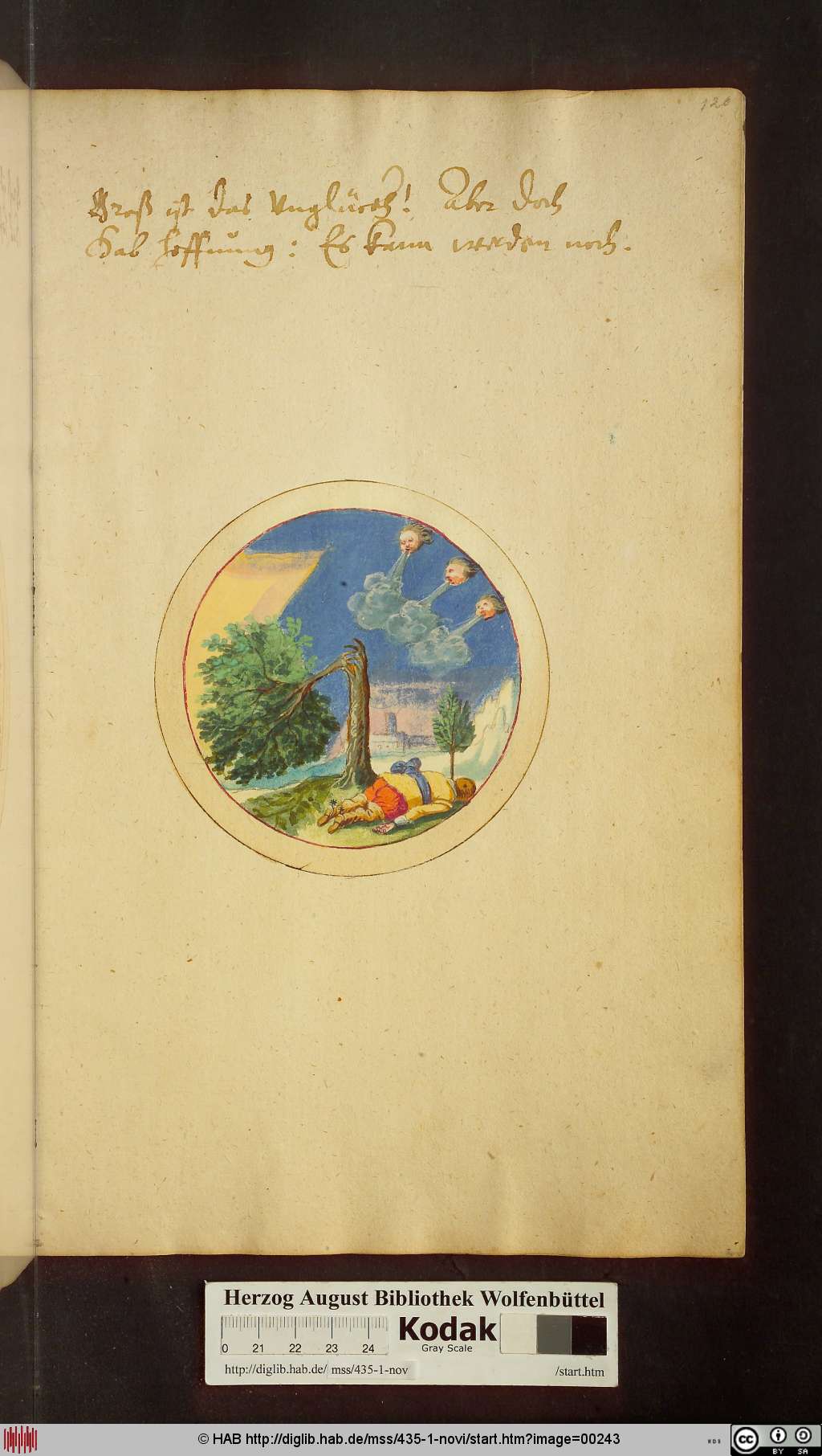 http://diglib.hab.de/mss/435-1-novi/00243.jpg