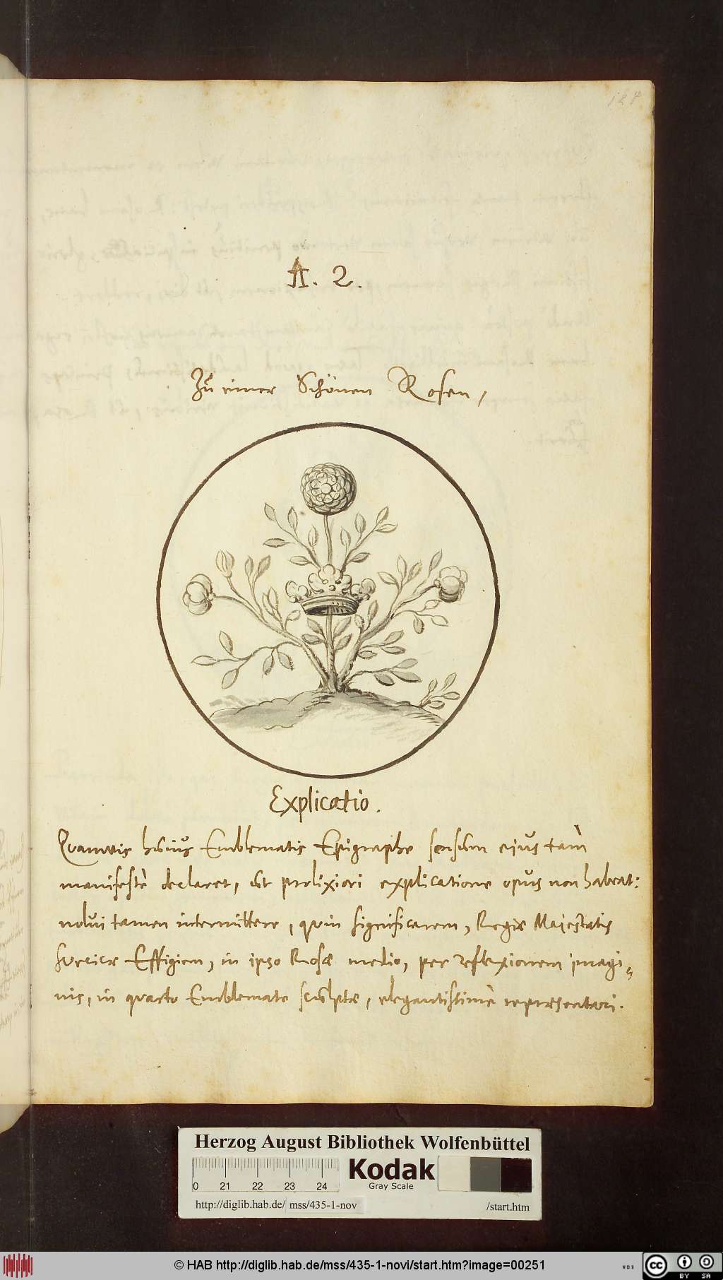 http://diglib.hab.de/mss/435-1-novi/00251.jpg