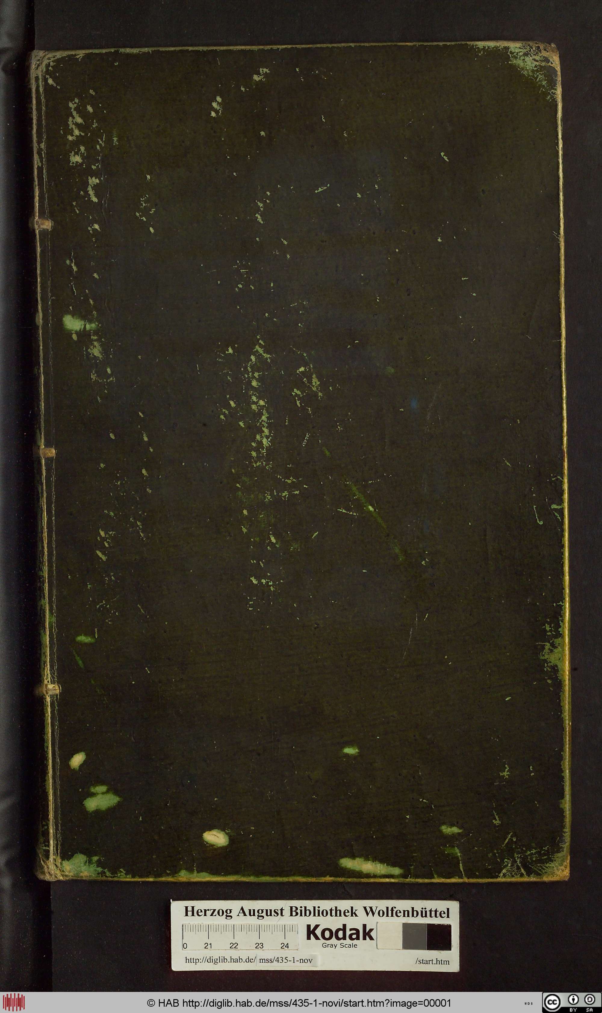 http://diglib.hab.de/mss/435-1-novi/max/00001.jpg