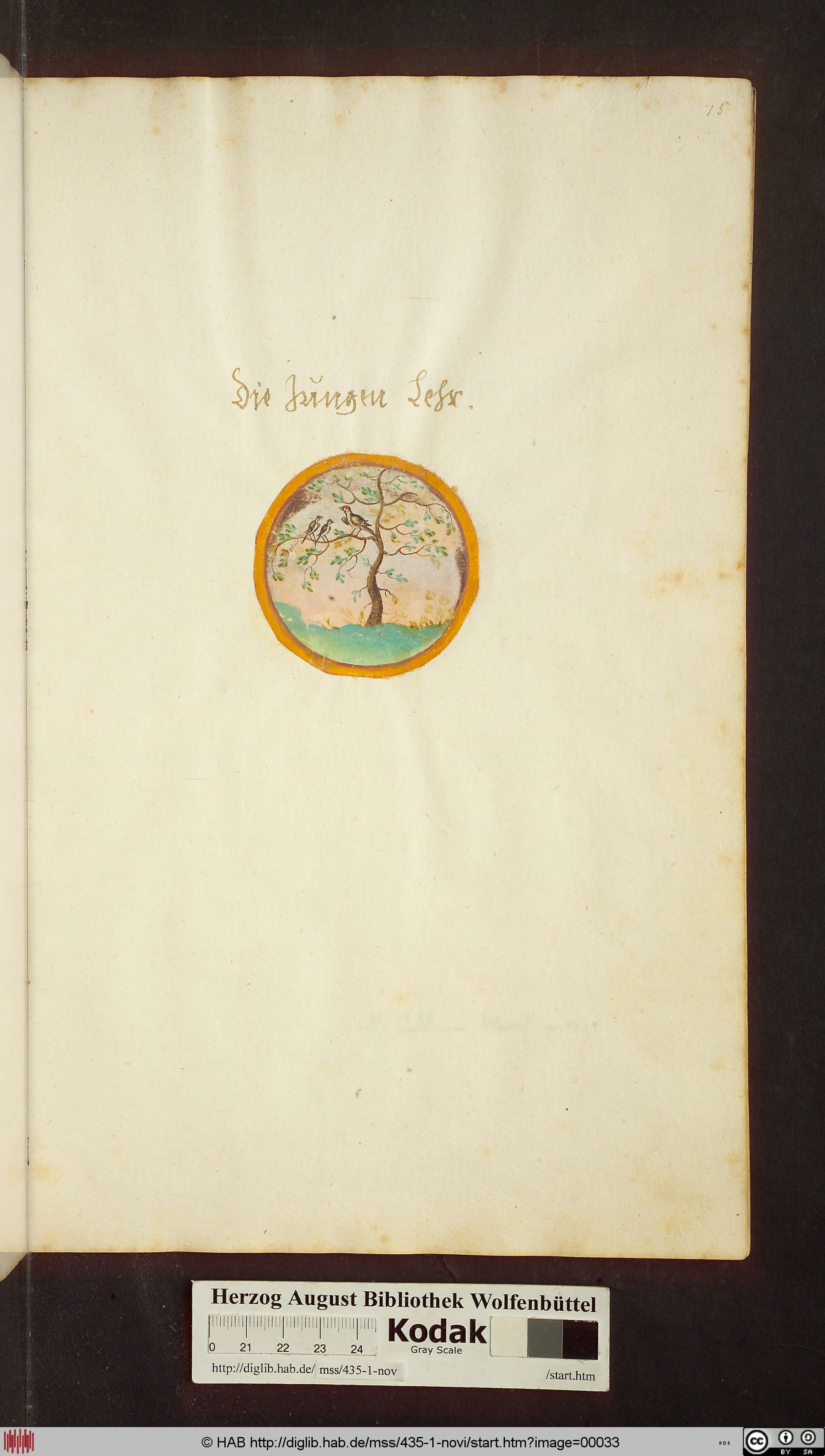 http://diglib.hab.de/mss/435-1-novi/max/00033.jpg