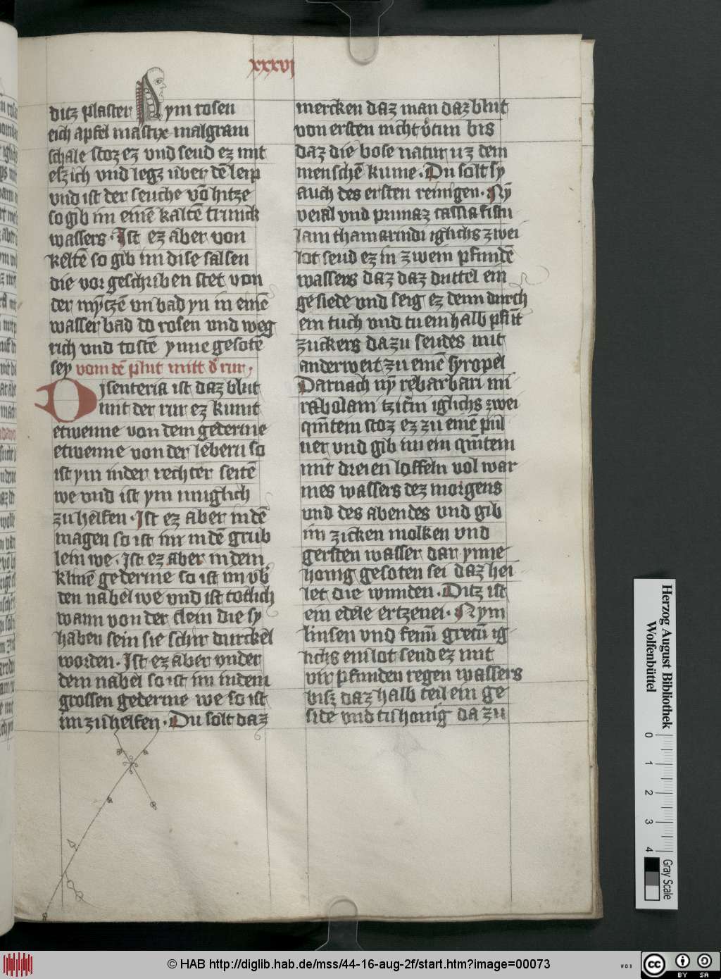 http://diglib.hab.de/mss/44-16-aug-2f/00073.jpg