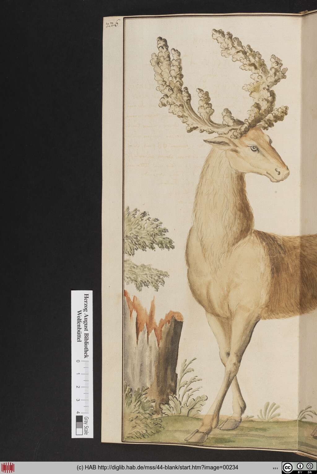 http://diglib.hab.de/mss/44-blank/00234.jpg