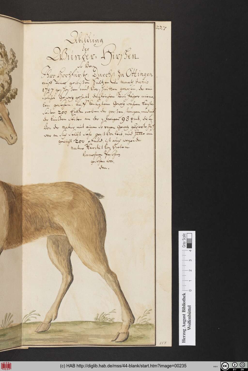 http://diglib.hab.de/mss/44-blank/00235.jpg