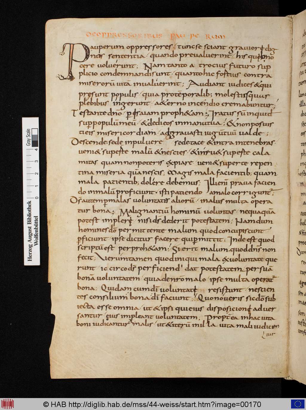 http://diglib.hab.de/mss/44-weiss/00170.jpg