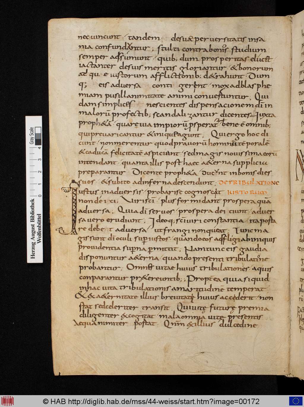 http://diglib.hab.de/mss/44-weiss/00172.jpg