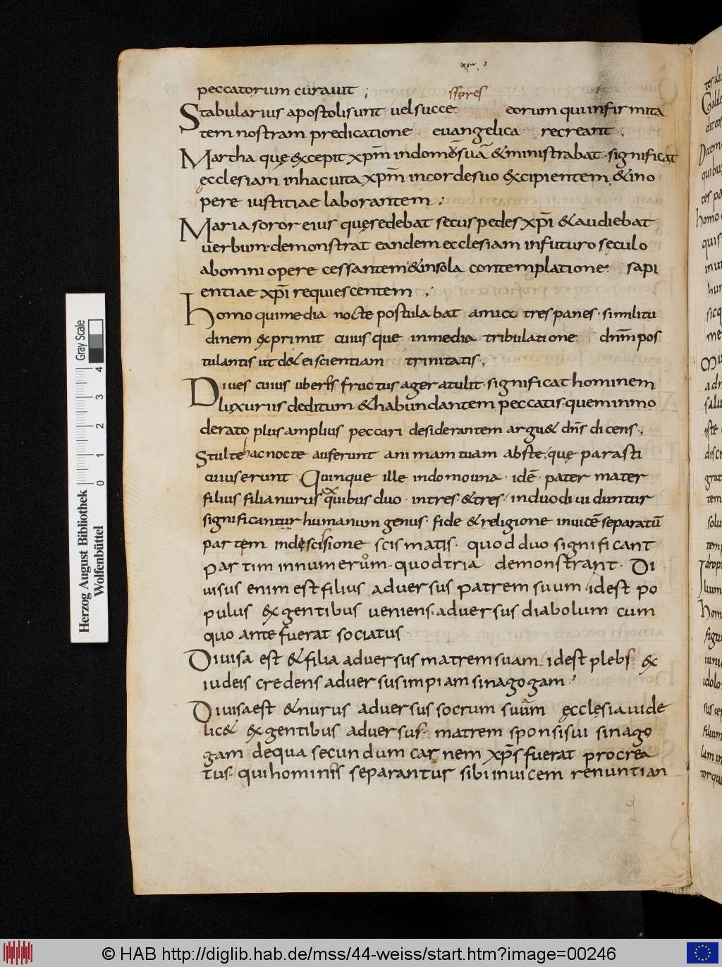 http://diglib.hab.de/mss/44-weiss/00246.jpg
