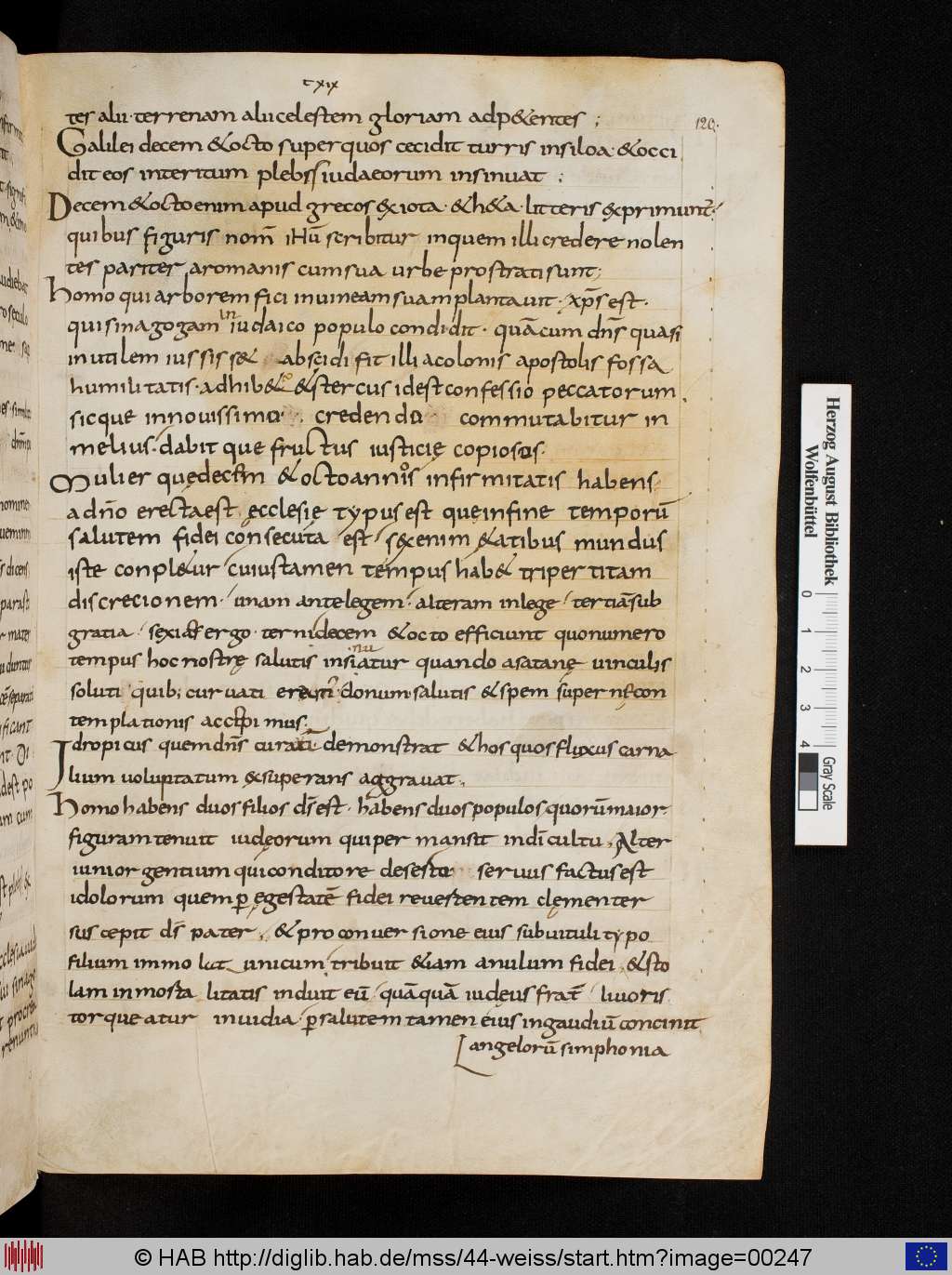 http://diglib.hab.de/mss/44-weiss/00247.jpg