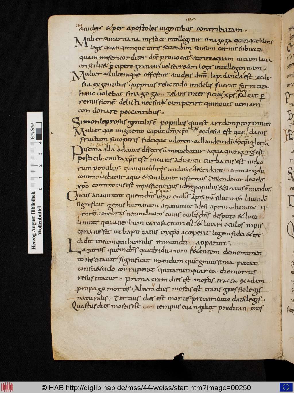 http://diglib.hab.de/mss/44-weiss/00250.jpg