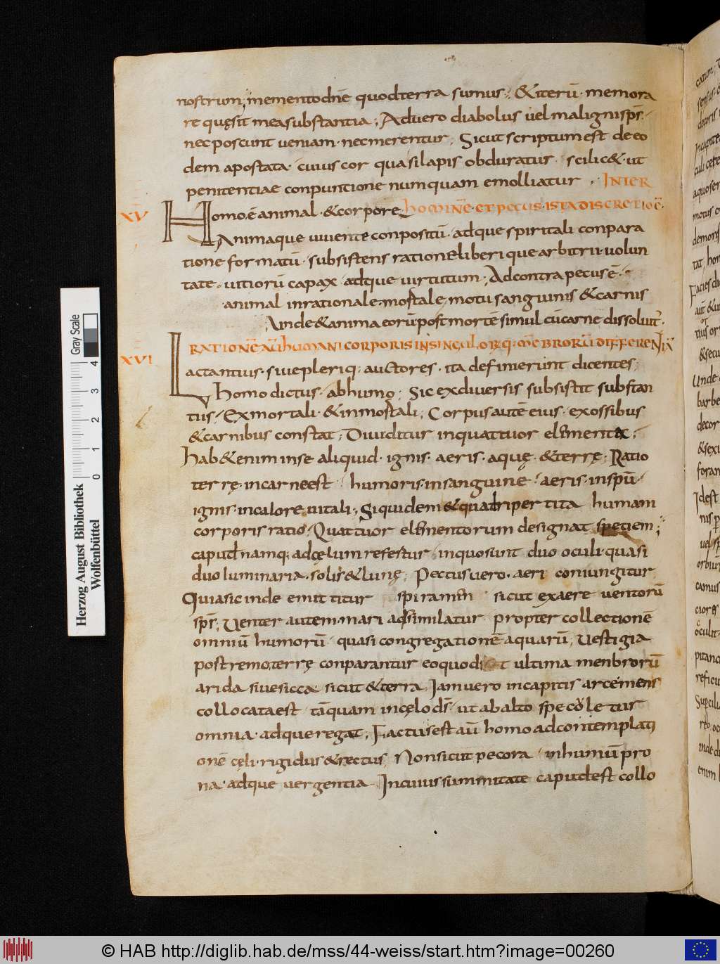 http://diglib.hab.de/mss/44-weiss/00260.jpg