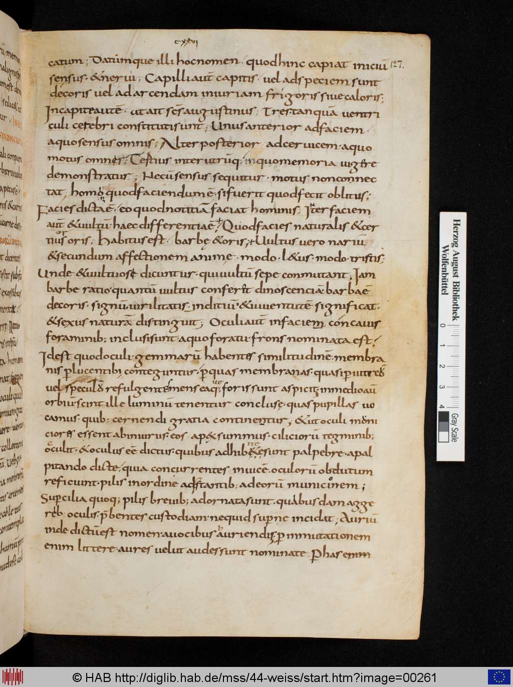http://diglib.hab.de/mss/44-weiss/00261.jpg
