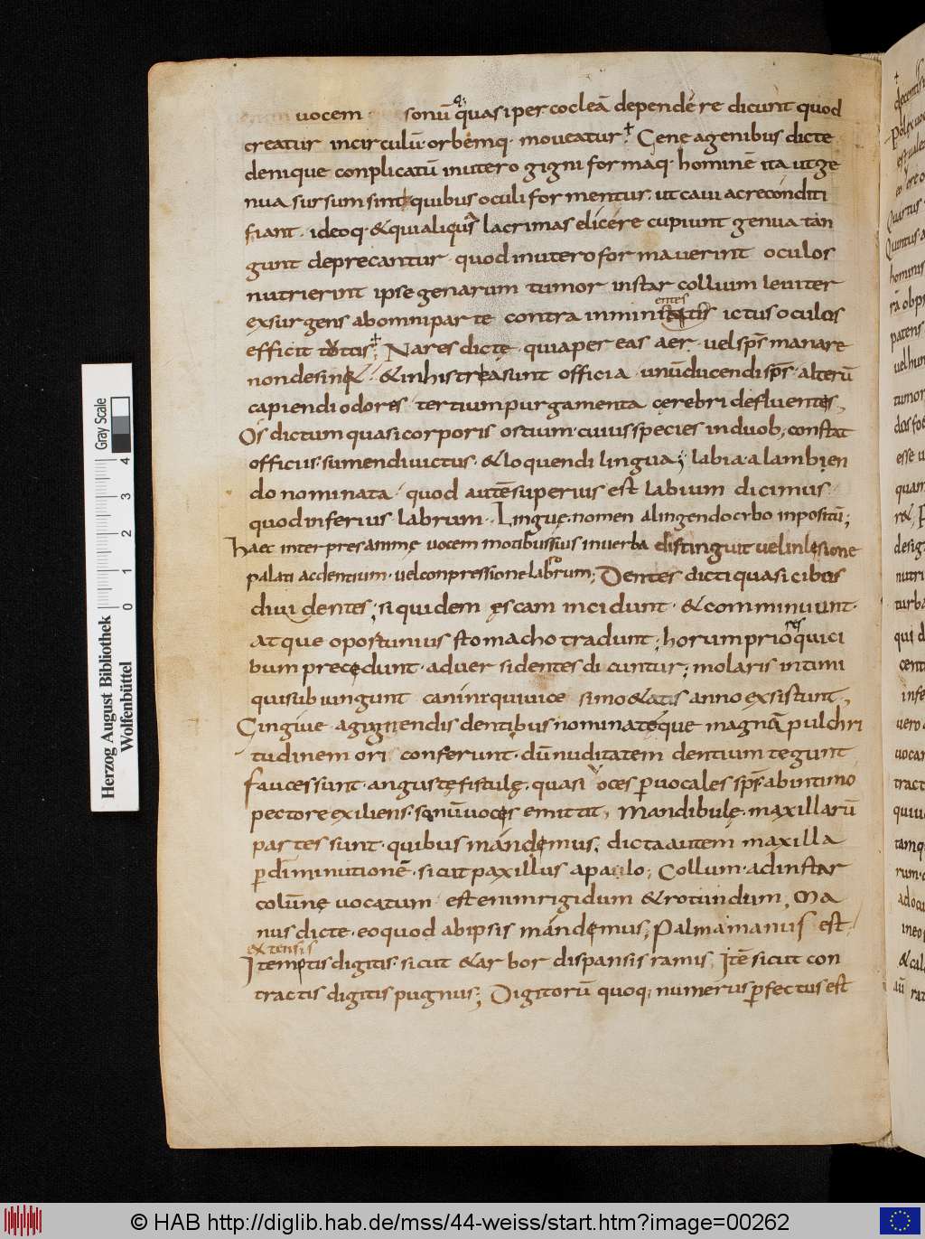 http://diglib.hab.de/mss/44-weiss/00262.jpg