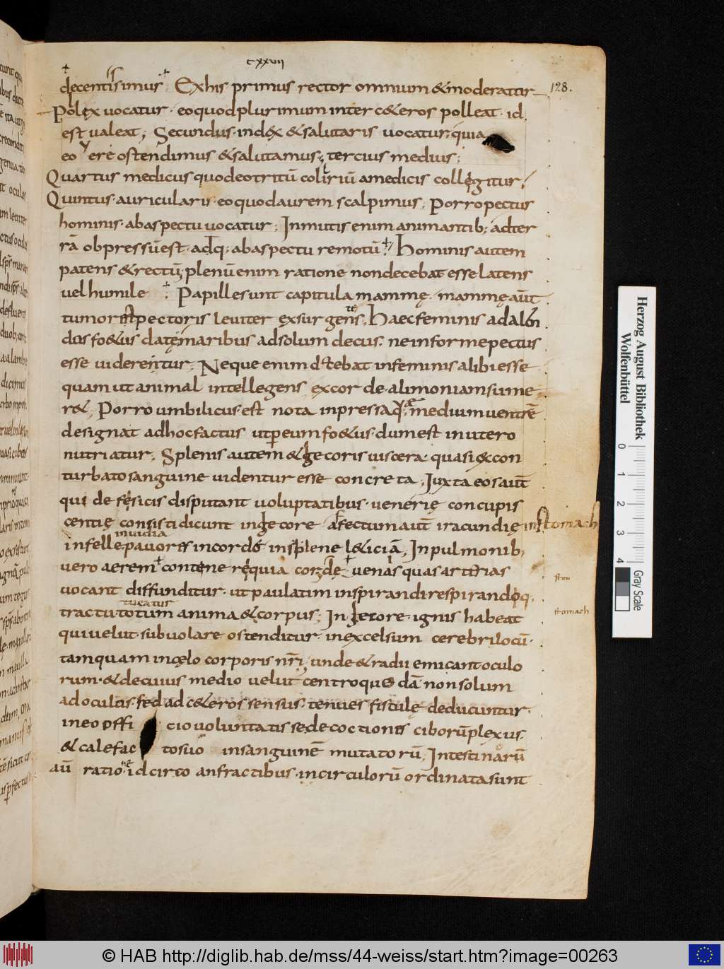 http://diglib.hab.de/mss/44-weiss/00263.jpg