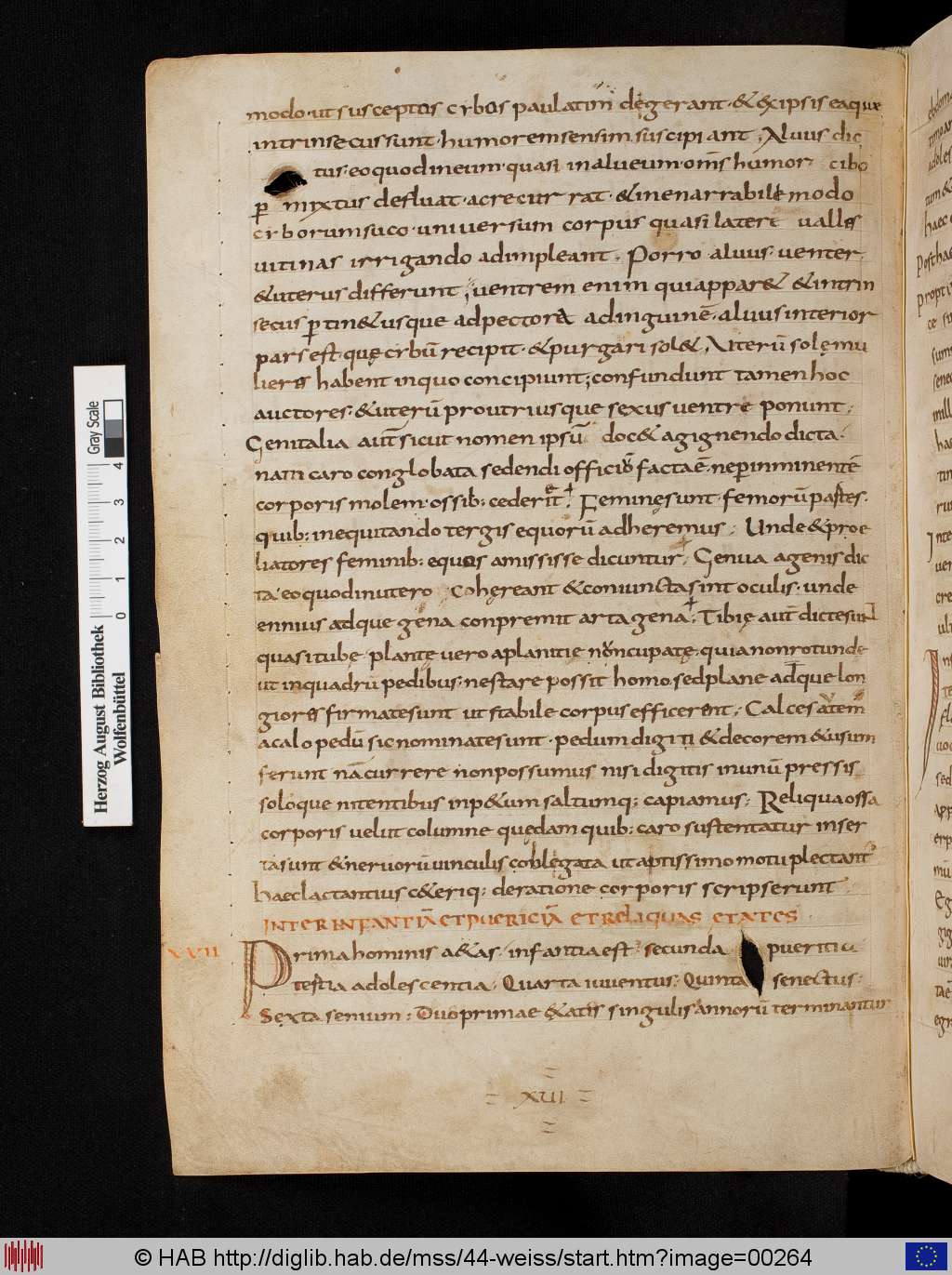http://diglib.hab.de/mss/44-weiss/00264.jpg