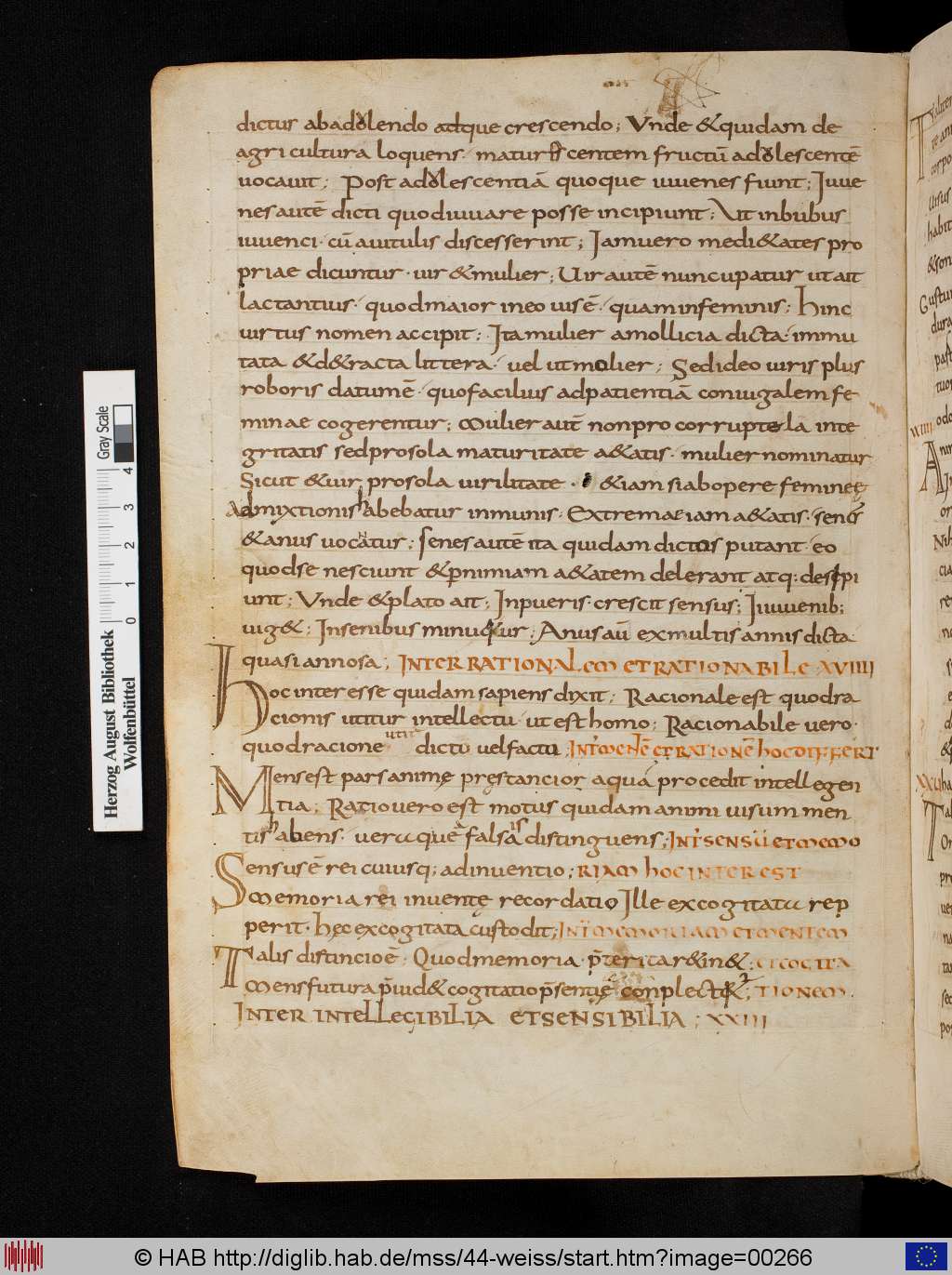http://diglib.hab.de/mss/44-weiss/00266.jpg