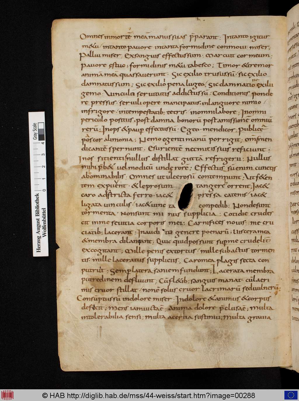 http://diglib.hab.de/mss/44-weiss/00288.jpg
