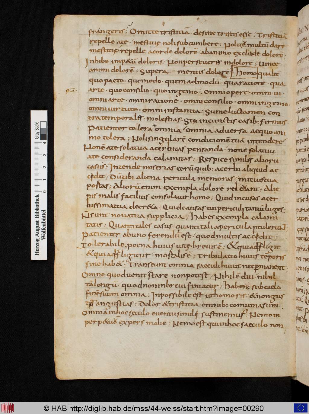 http://diglib.hab.de/mss/44-weiss/00290.jpg