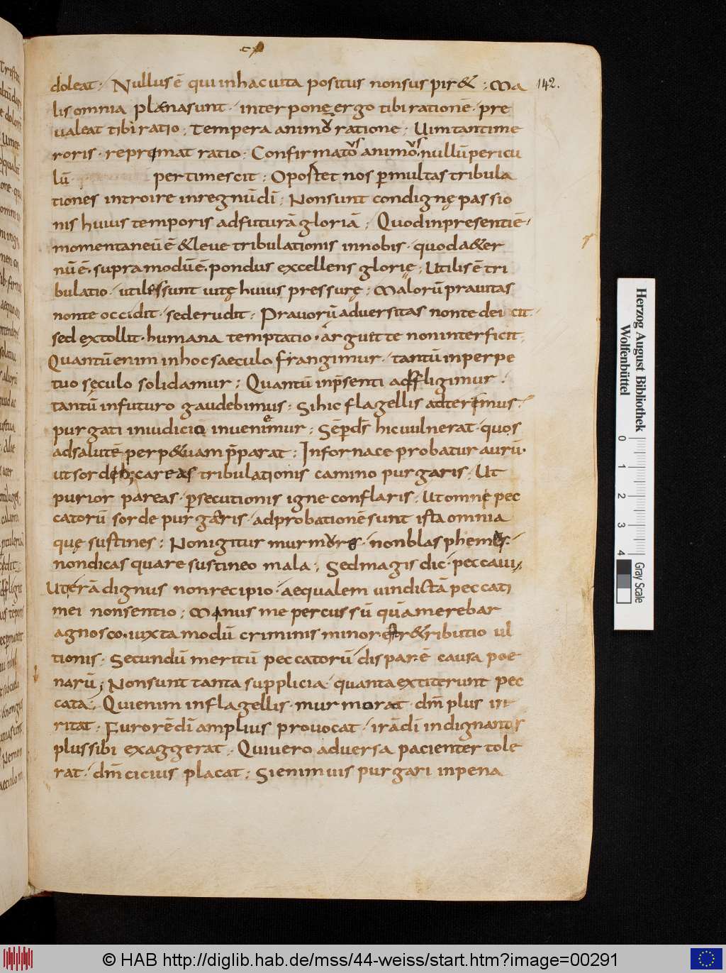 http://diglib.hab.de/mss/44-weiss/00291.jpg