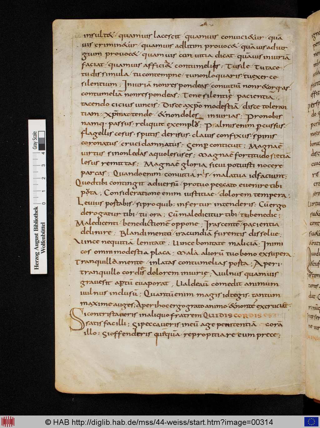 http://diglib.hab.de/mss/44-weiss/00314.jpg