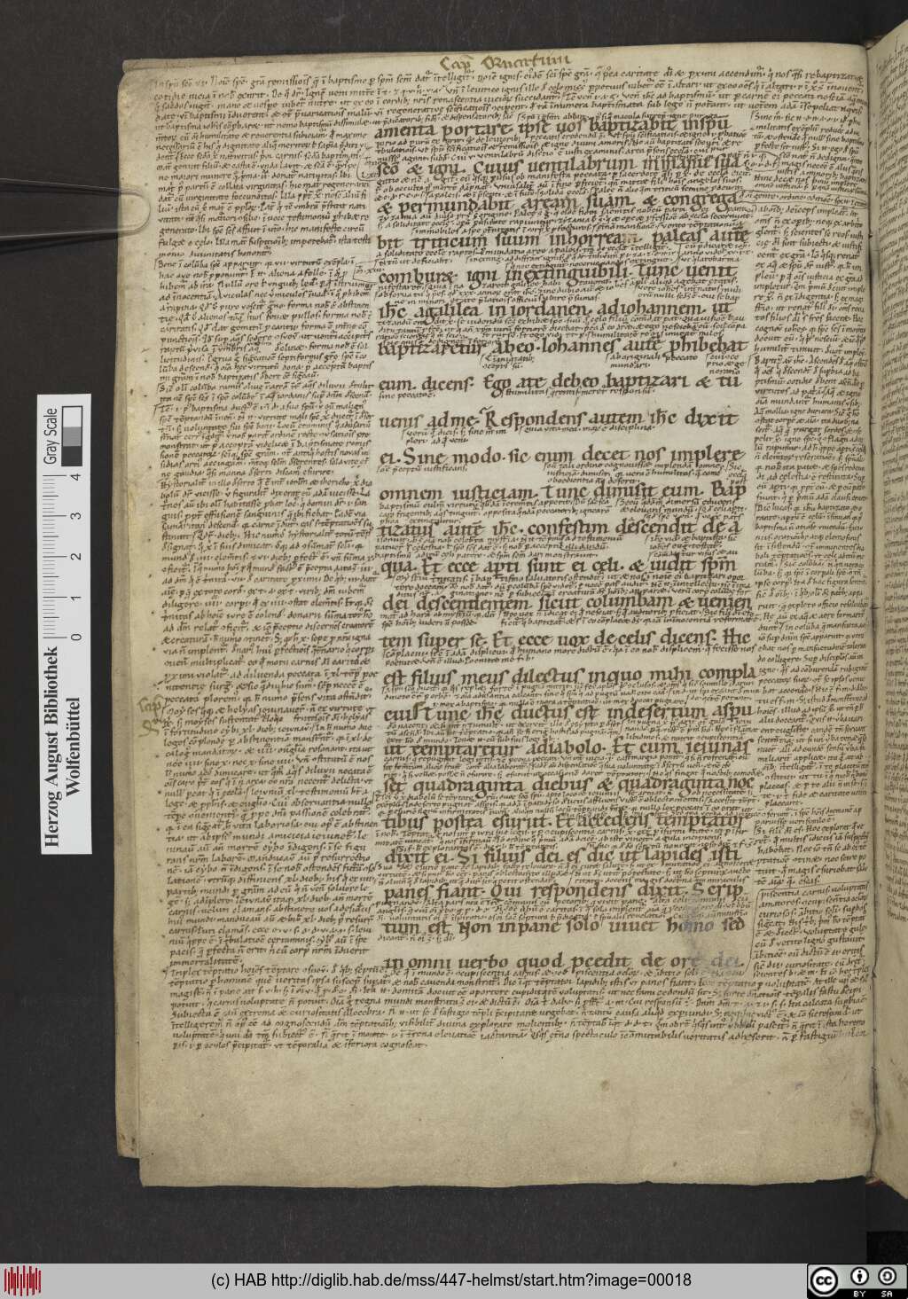 http://diglib.hab.de/mss/447-helmst/00018.jpg