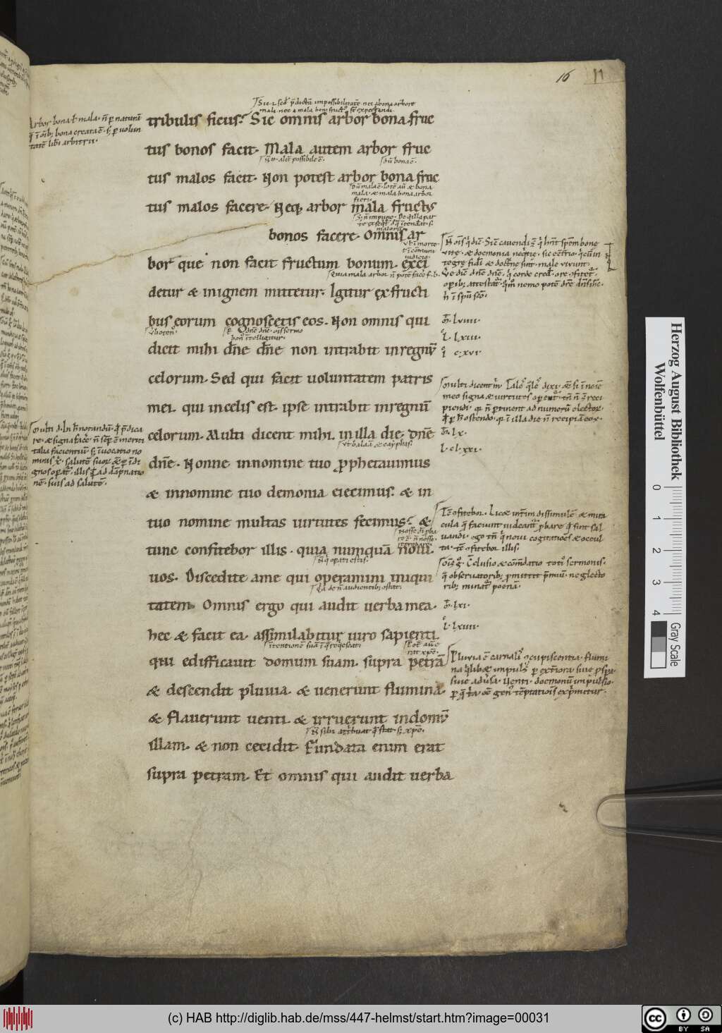 http://diglib.hab.de/mss/447-helmst/00031.jpg