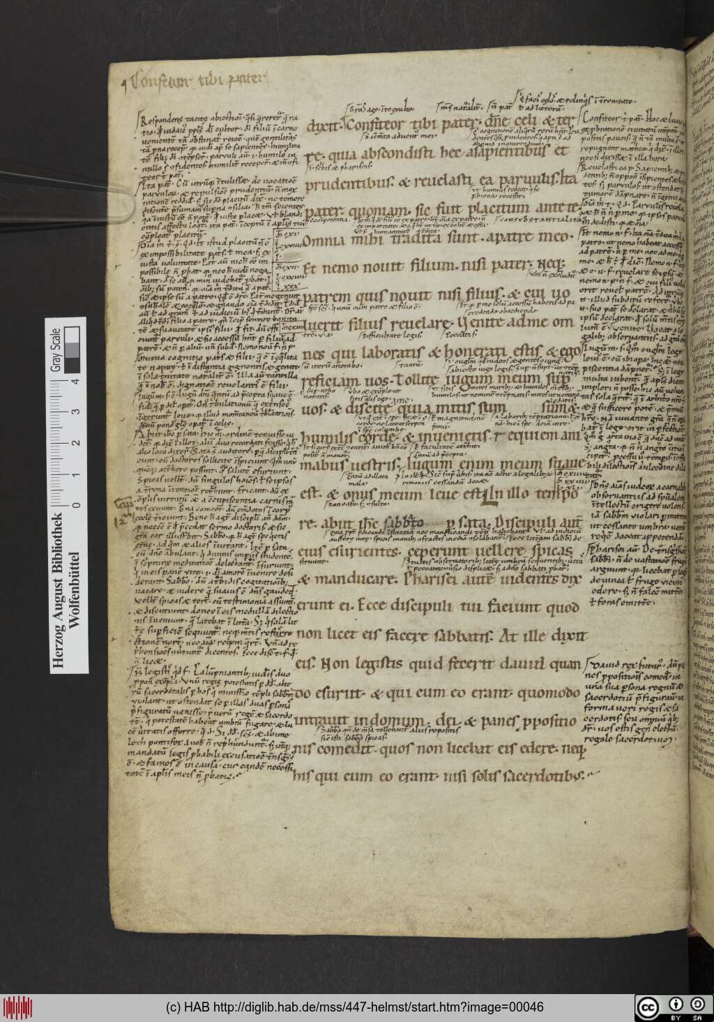 http://diglib.hab.de/mss/447-helmst/00046.jpg