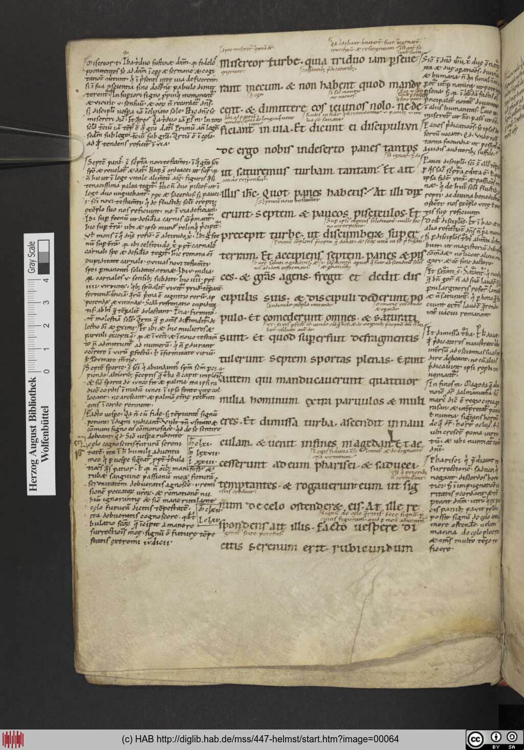 http://diglib.hab.de/mss/447-helmst/00064.jpg