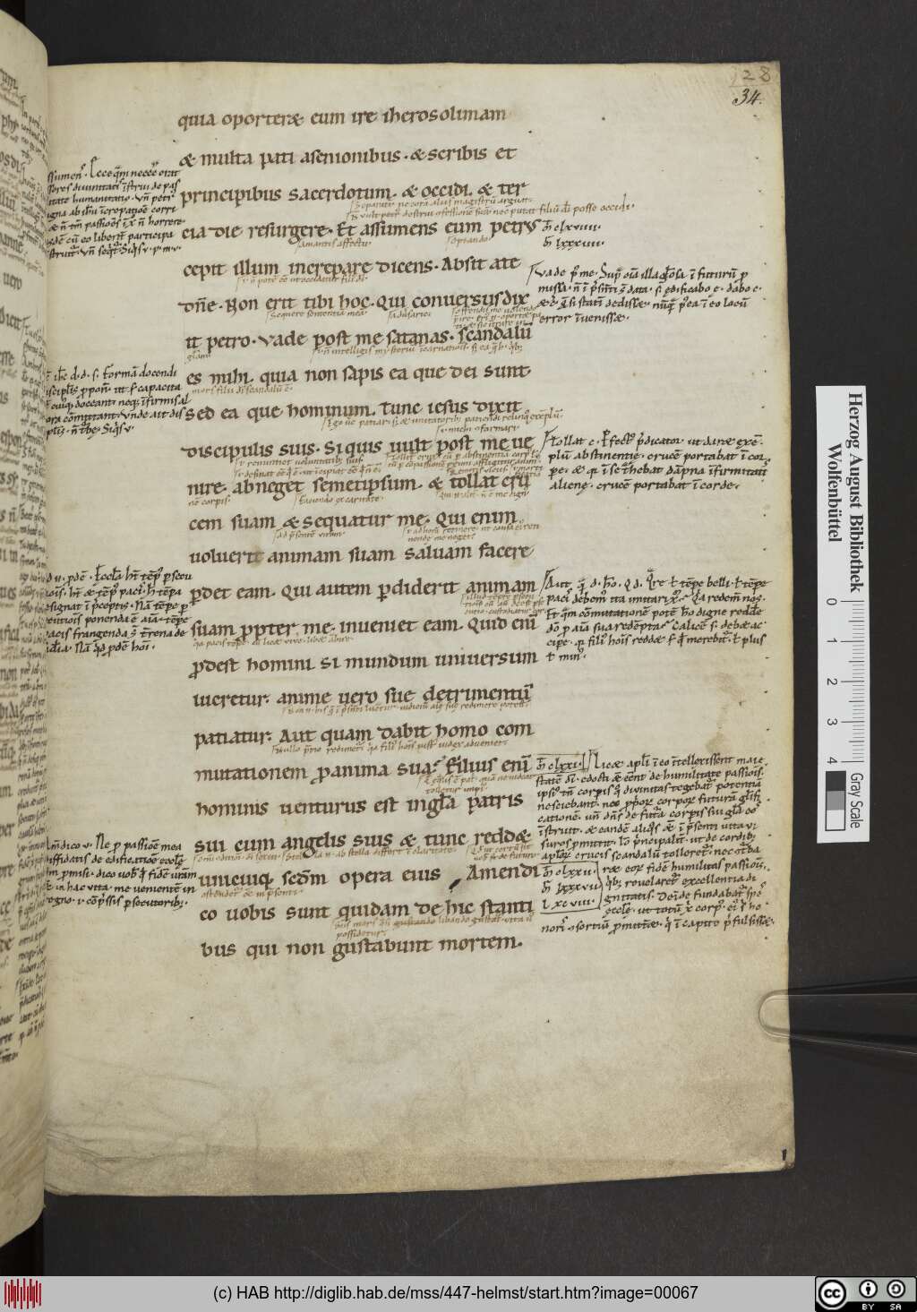 http://diglib.hab.de/mss/447-helmst/00067.jpg