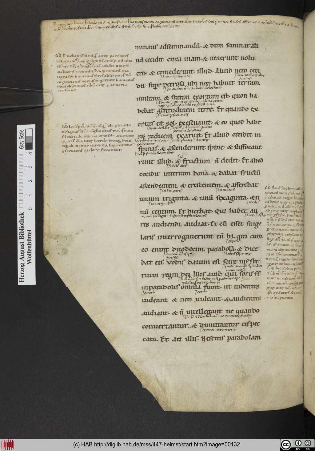 http://diglib.hab.de/mss/447-helmst/00132.jpg