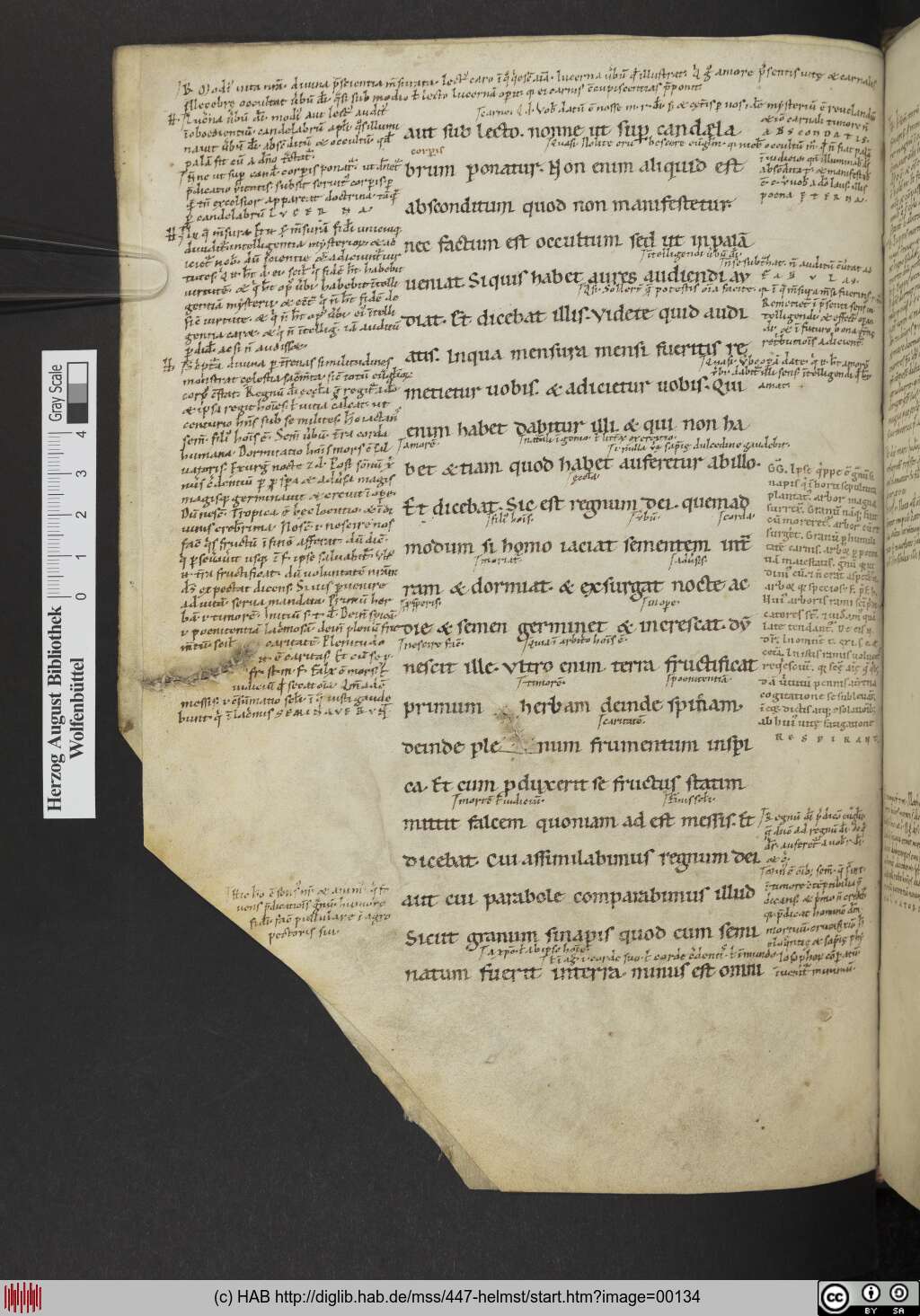 http://diglib.hab.de/mss/447-helmst/00134.jpg