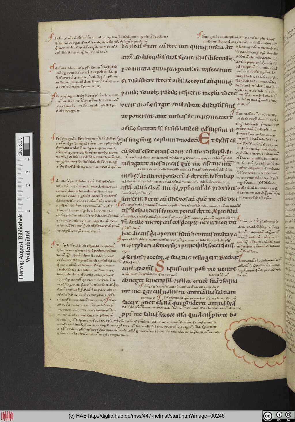 http://diglib.hab.de/mss/447-helmst/00246.jpg