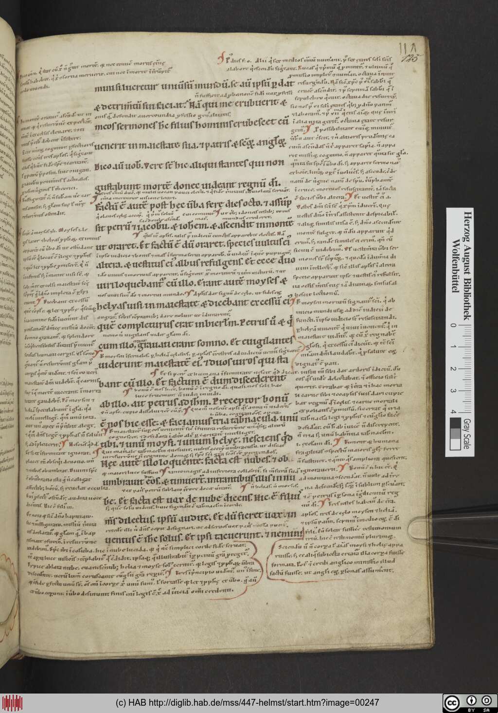 http://diglib.hab.de/mss/447-helmst/00247.jpg