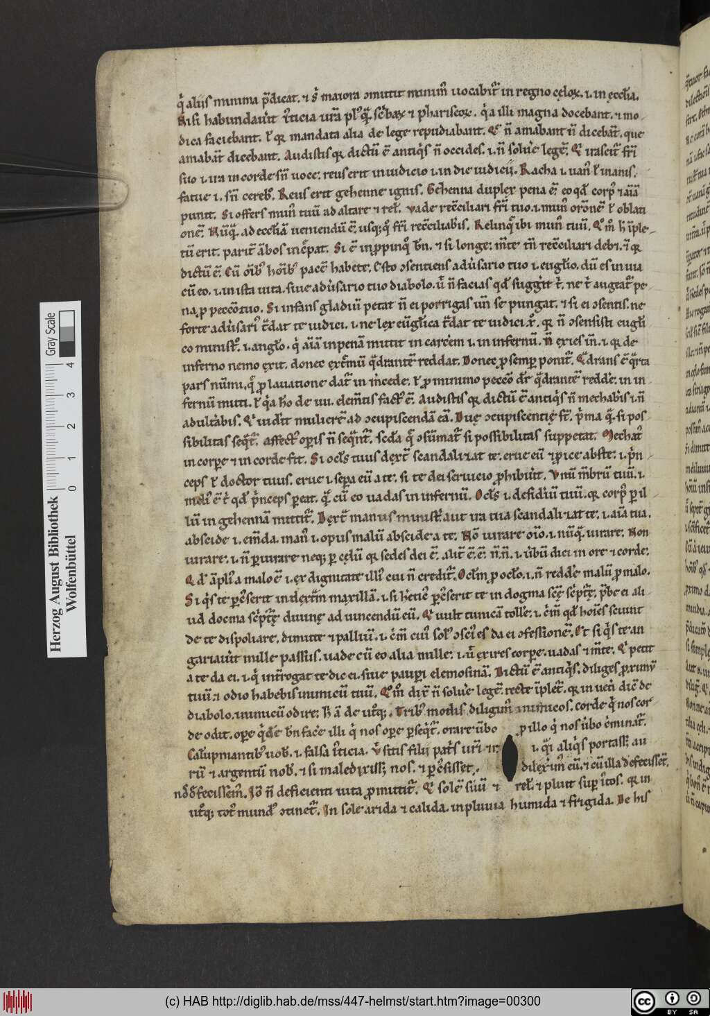 http://diglib.hab.de/mss/447-helmst/00300.jpg