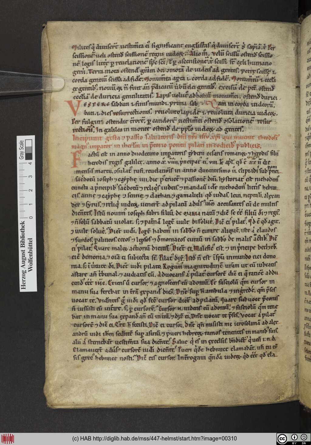 http://diglib.hab.de/mss/447-helmst/00310.jpg