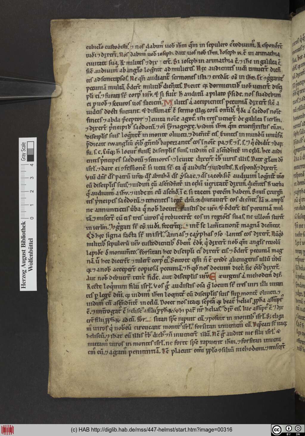 http://diglib.hab.de/mss/447-helmst/00316.jpg