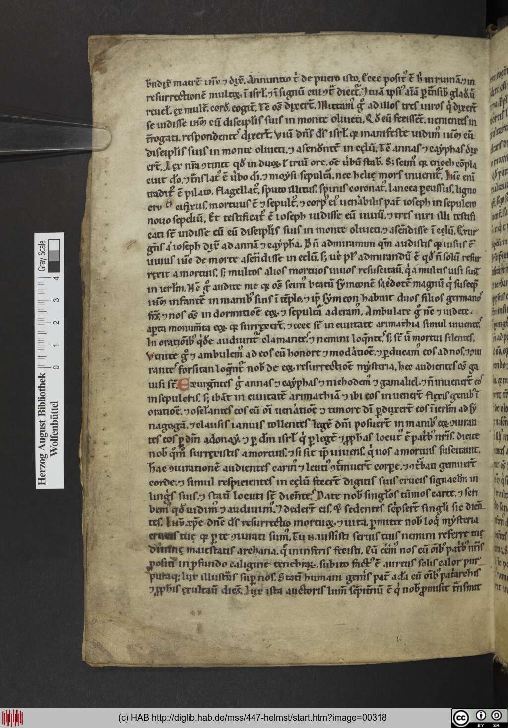 http://diglib.hab.de/mss/447-helmst/00318.jpg