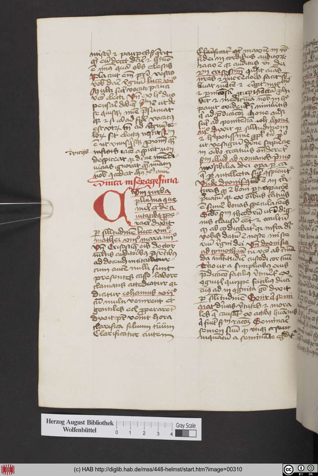 http://diglib.hab.de/mss/448-helmst/00310.jpg